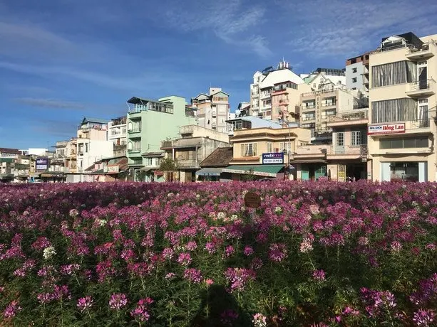 Wolfpack Hostel Dalat - Image 1