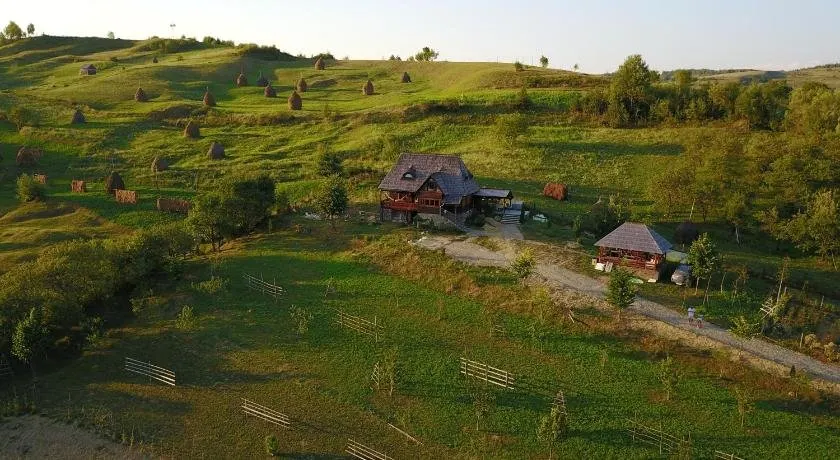 Ninga Rai - Image 1