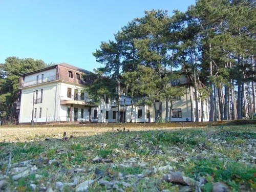 Stella - Image 1