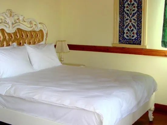Beylerbeyi Palace Boutique Hotel - Image 1