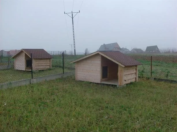 Krajno Paradise - Image 1