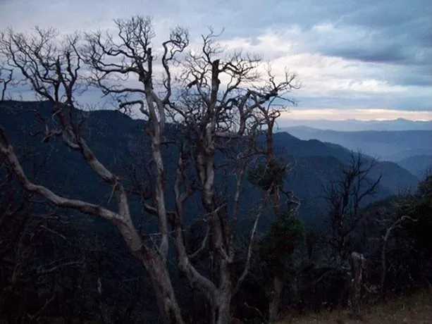 Kausani Best Inn - Image 1
