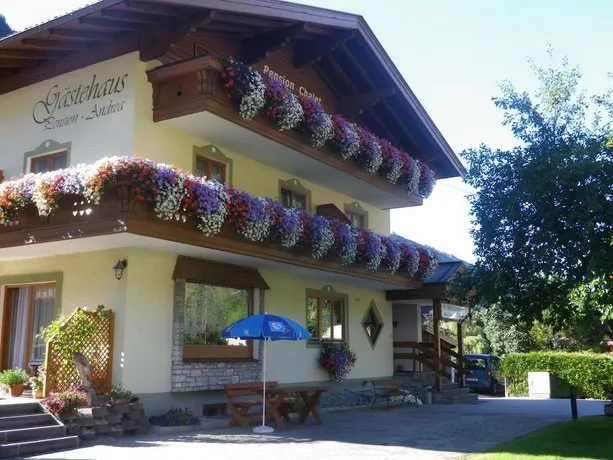 Pension Andrea - Image 1