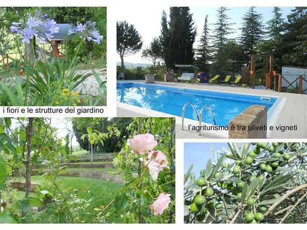 Agriturismo Il Palmarone - Image 1