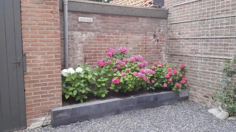 De Notenbalk Aan Zee - Image 1