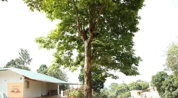 Merc Hills Homestay by OYO Rooms - Image 1