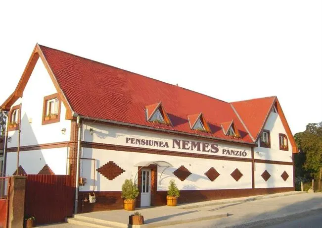 Pensiunea Nemes Panzio - Image 1
