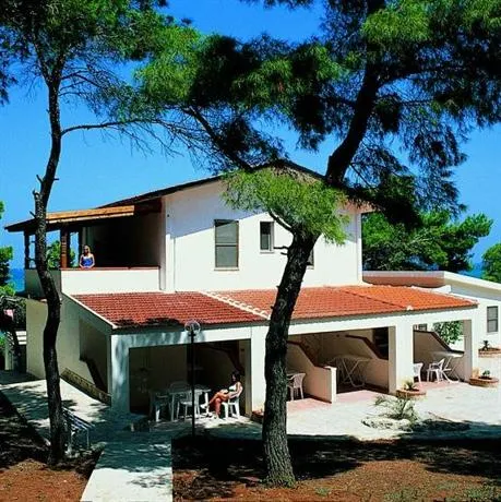 Sfinal - Image 1