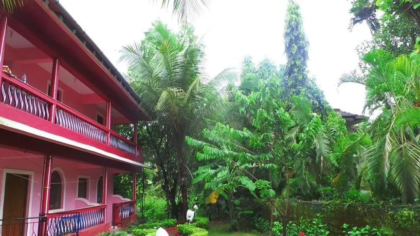Peter's Paradise Guest House - Image 1