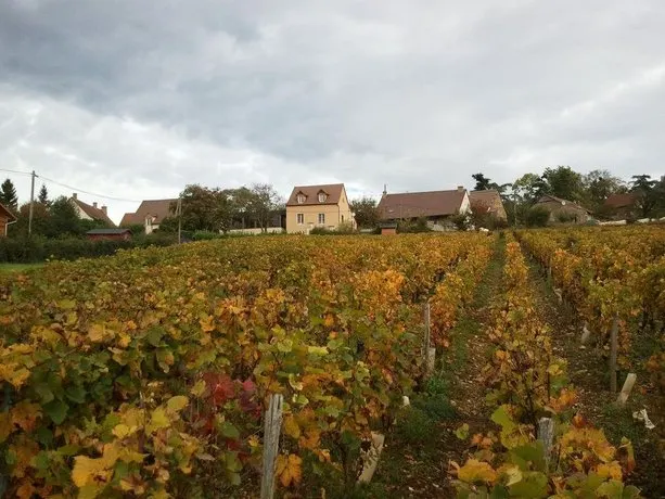 Les Coteaux du Thil - Image 1