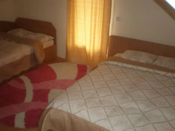 Pensiunea Florina - Image 1