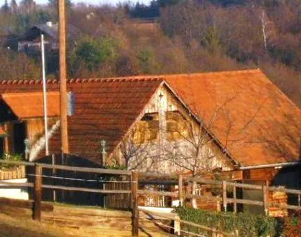 Pferdehof Pfaffenriegel - Image 1