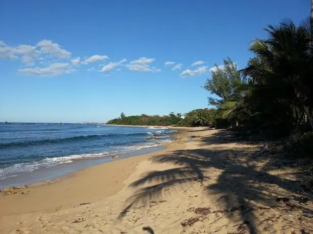Vega Baja Oceanfront Suite - Image 1