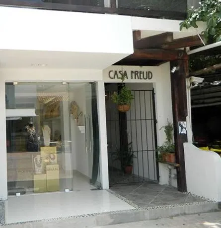 Casa Freud - Image 1