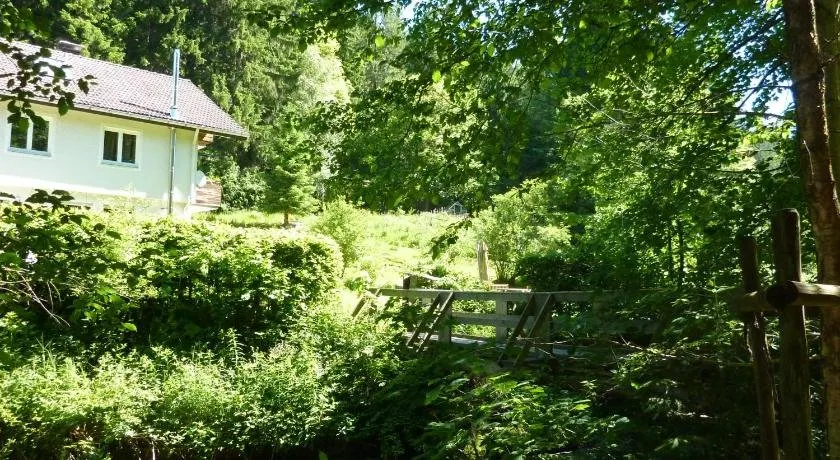 Apartment Schwarzwald Total - Image 1