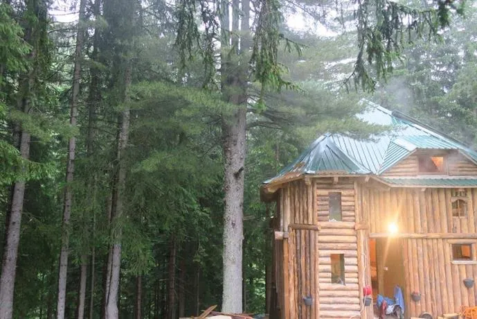 Lodge Between The Pine Trees - Image 1