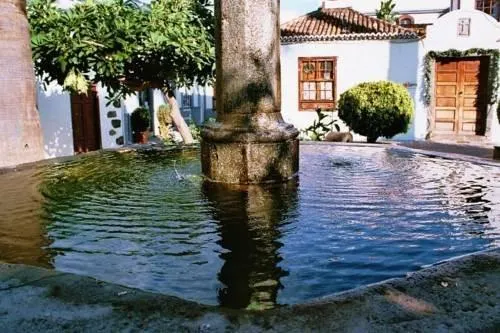 Dos Palmeras - Image 1