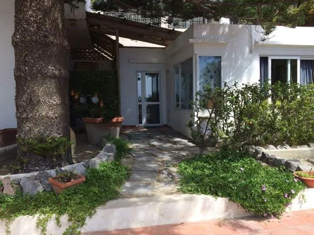 La Tartaruga Forio - Image 1