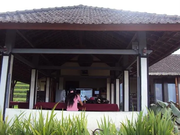 Teras Subak Jatiluwih - Image 1