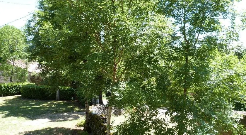 Gîte Chez Mireille Le Trionnaire - Image 1