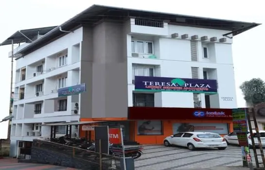 Teresa Plaza - Image 1