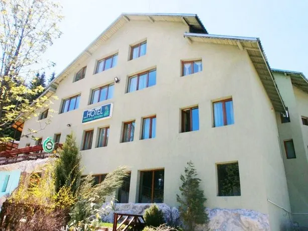 Hotel Forest Star on the Ski Slope - Image 1