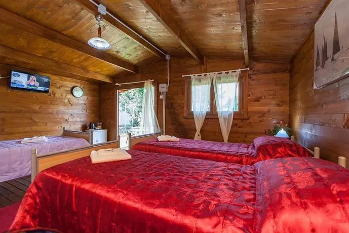 B&B Sportive - Image 1
