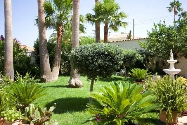 Jolie - Image 1