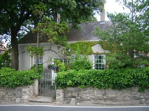 Plas I Fan - Image 1