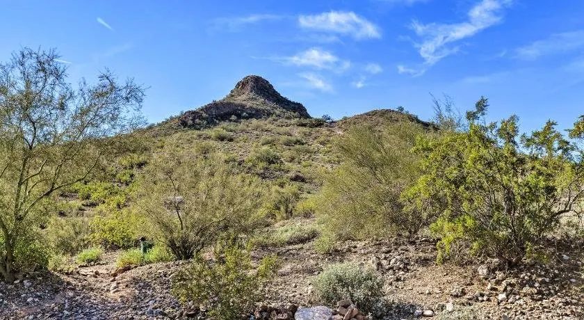 Phoenix Home with Private Oasis Walk to Lookout Mtn - Image 1