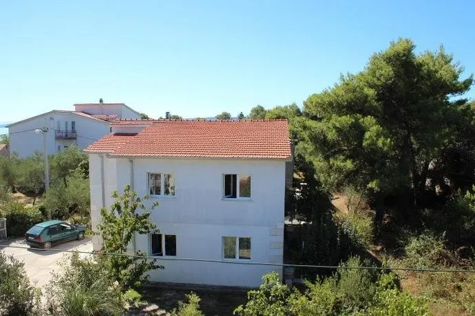 Dalmatia Sunshine - Image 1