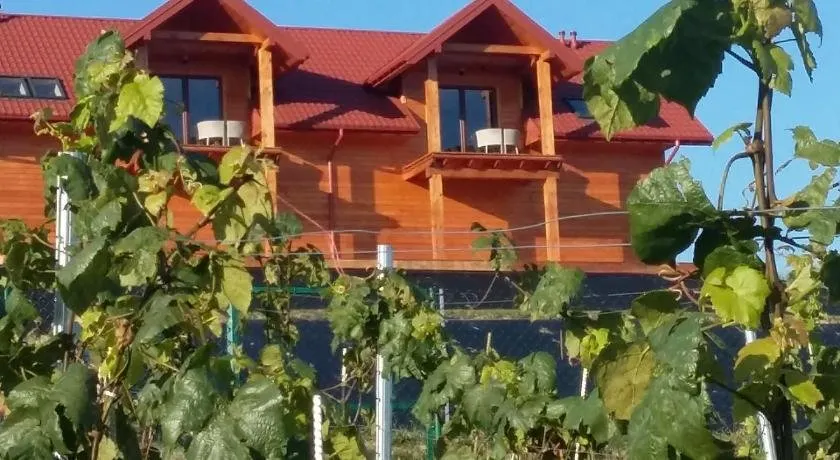 Fantastic View Vineyard Beskid Mountains - Image 1