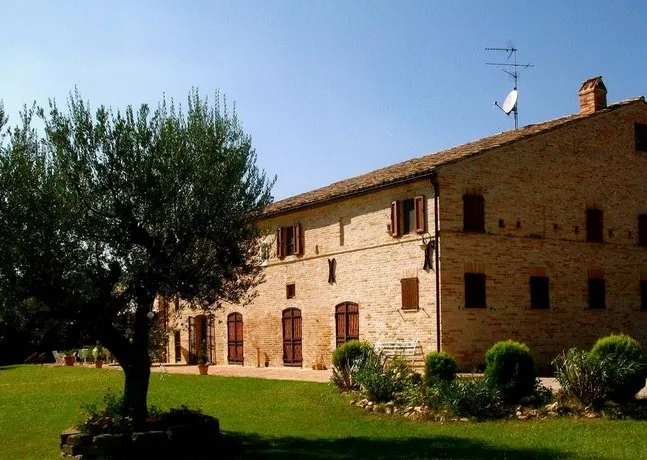 Il Gallo Del Vicino - Image 1