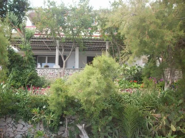 Apartments Tomovic - Image 1