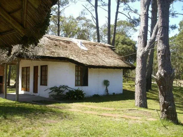 Las Aves - Image 1