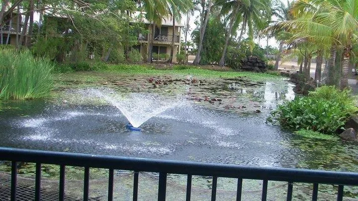 Bushland Beach Tavern - Image 1