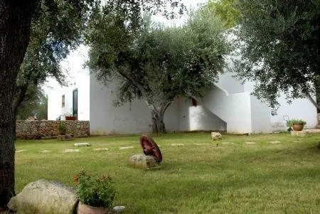 B&B Quasimare - Image 1