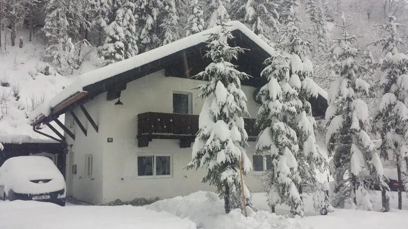 Chalet Snowy Hills - Image 1
