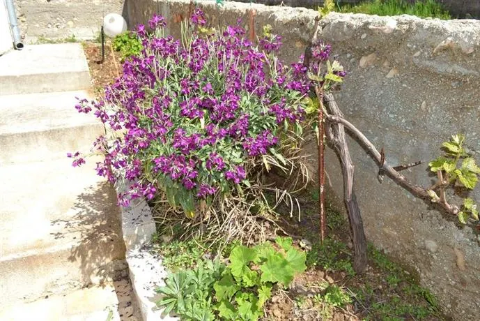 Holiday Home Ljubica - Image 1