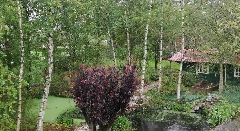 Zizania - Image 1