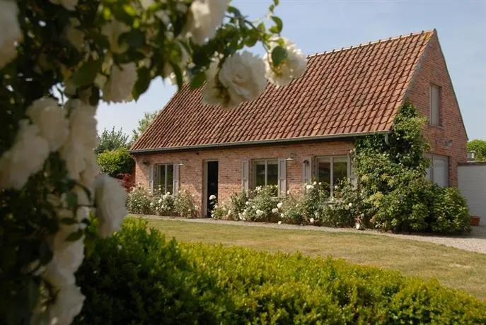 Cocoon B&B - Image 1