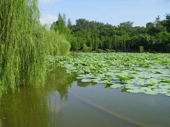 7days Inn Jiangmen Diwang Square - Image 1