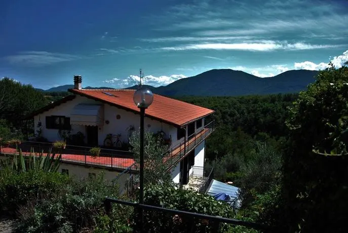 B&B Grillo Verde - Image 1