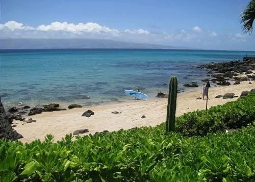Kuleana 313 1 Bdrm - Image 1