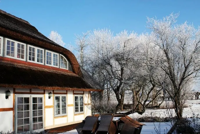 Ferienhaus Kleine Flucht Neuendorf - Image 1