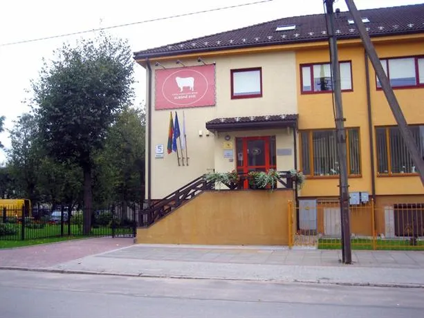 Auksines Avis - Image 1