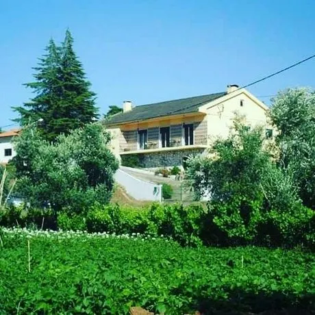 Casa Das Flores Tomar - Image 1