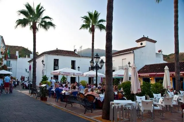 Los Pinos 8 - Image 1