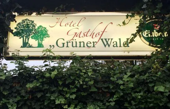 Grüner Wald Hotel Gasthof - Image 1