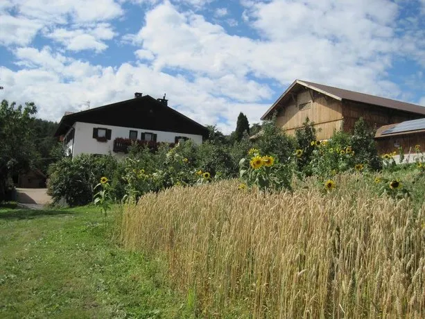 Haflingerhof - Image 1